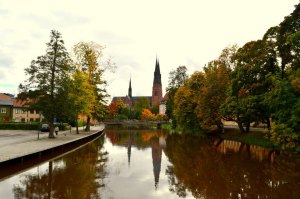 Fall in Uppsala, a gorgeous scene of the changing leaves on the trees