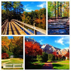 The University of Richmond, my home university