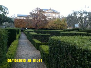  Fall in Oxford at the Botanic Gardens, the setting of the original "Alice in Wonderland"