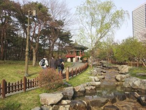 Beautiful Yeouido Park, where we went to enjoy the Cherry Blossoms
