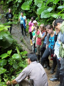Roberto, our guide, explains the medical uses of this giant-leafed plant, as well as how to roll the leaves into the shape of a 'gun' as part of our tour through the forest