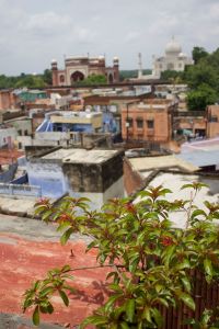 Rooftop view of the Tah