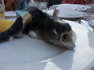 This fish looks as fresh as it tasted. The accompanying butter sauce was sehr gut.