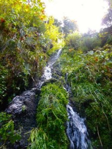 One of the many beautiful waterfalls along the Ravennaschlucht trail.