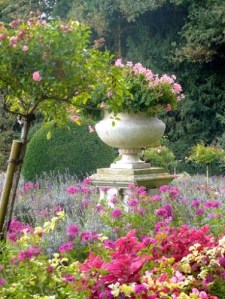 ​A garden there... so beautiful