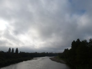 ​The Rhine River. France on the left and Germany on the right. In class a point was made how the banks look different and have different vegetation.