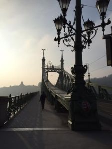a picture of the chain bridge that connects the Buda and the Pest sides of Budapest.