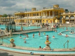 The Szechnyi Baths in the Center Park"