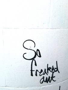 Street art on my walk down Melville Dr.