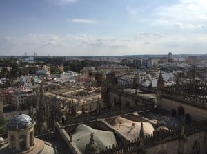 A picture from the tower of the Cathedral