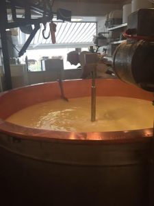 This is the very first stage of cheese making, where the milk gets churned until it makes this gummy type-substance that will be aged to make cheese. This is the gummy stuff that I tried. Very appealing, I know.