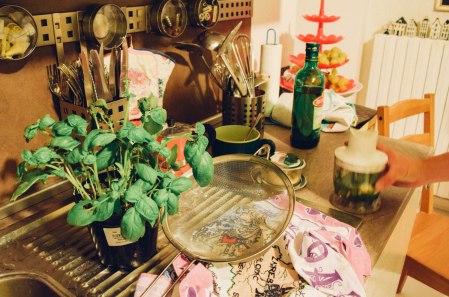 Fresh basil pesto sauce