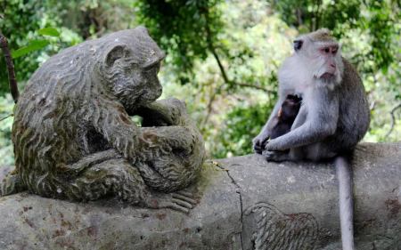 No monkeys jumped on us, but we did witness one man get bit by a mother monkey due to the fact that he was holding her baby.