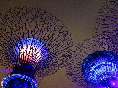 The ever so majestic Gardens by the Bay