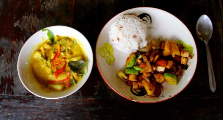 The cooking class lasted for several hours, and I can confidently say that I ate more than any previous Thanksgiving dinner. It was cool to use ingredients straight from the farm (we handpicked them ourselves) and to see all of the ingredients come together to make delicious curry, stir fry, tom yum soup, pad thai, and mango sticky rice.