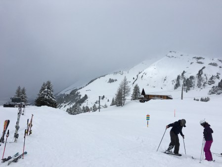 Skiing is weird. You tire every muscle in your body to go uphill and slide back down as you witness extremes in weather from the tip of a mountain. Somehow, it's still so much fun.