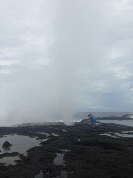 Peering into the blowhole
