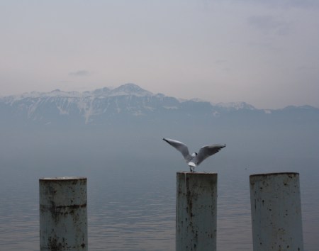 Can you blame anyone for wanting to visit? The mountains take on a new identity around Ouchy. They rise from nothing and cut into the sky.