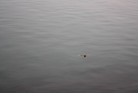 There's definitely something mystifying about Ouchy. A few roses floated in the water, but the lake is so calm that the flowers looked like they were floating in space.