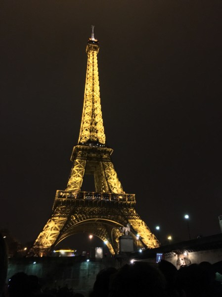 I may have already seen the Eiffel Tower, but that wouldn't discourage me from seeing it in a different light...nighttime to be exact. My friends and I went to an event on a boat organized by the local Erasmus student exchange network that included a tour of the Seine.