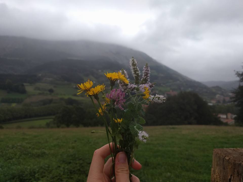 14522816_10210754330557859_8421211766892864513_n (1).jpg