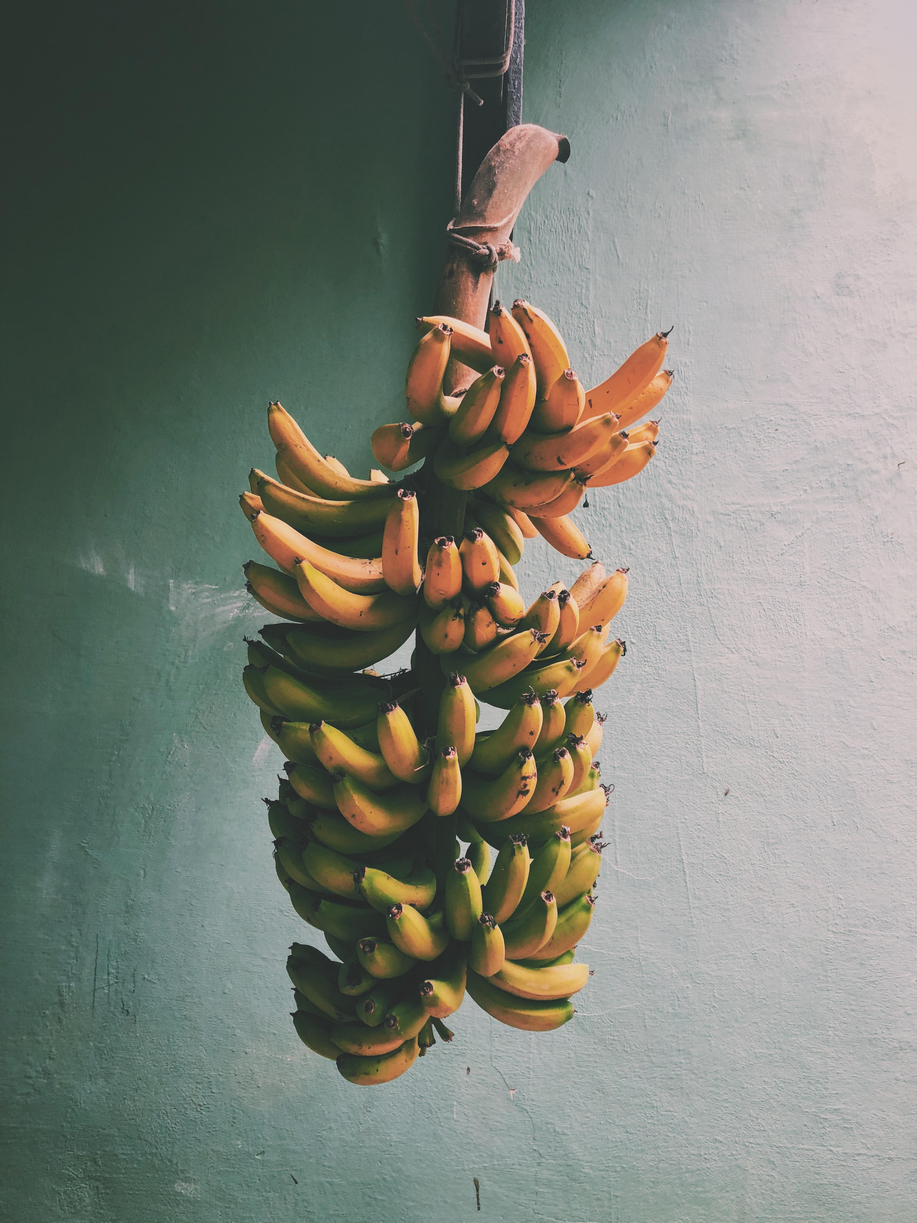 Processed with VSCO with c1 preset