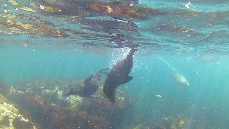 Picture1 (MC4xMzE3MTMwMA)