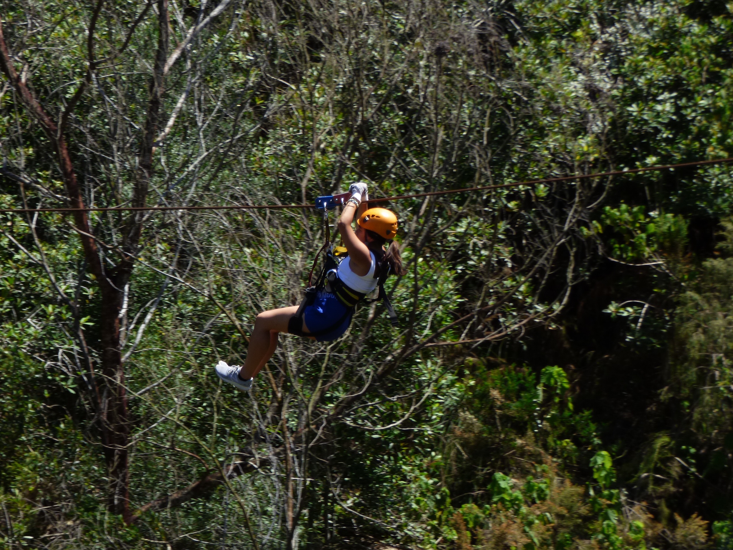 Picture2 (MC45NTk4MjUwMA)