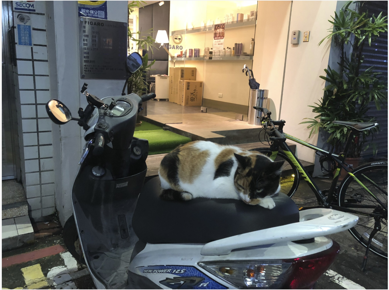 Screen Shot 2018-11-28 at 10.20.02