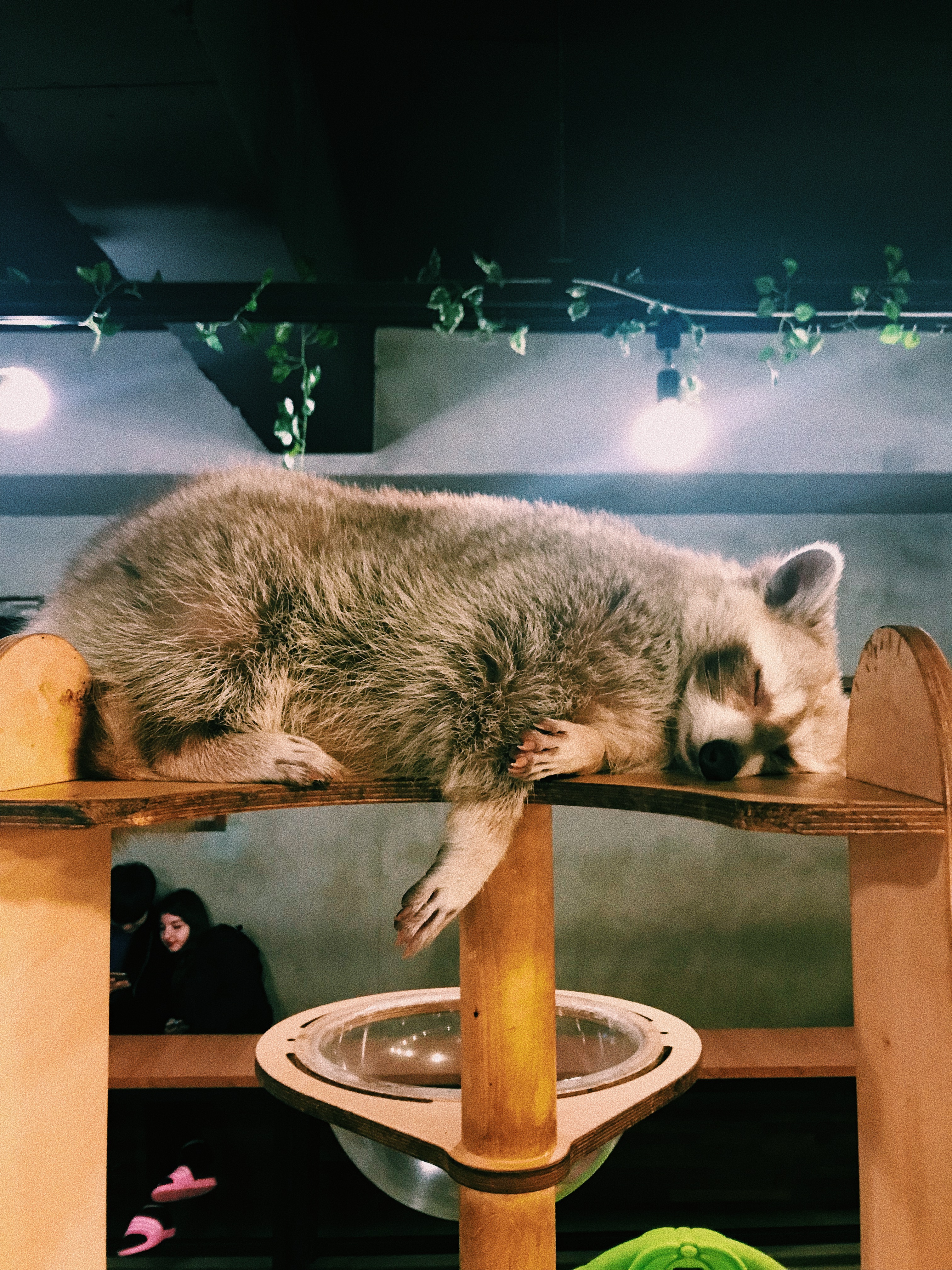 Processed with VSCO with c1 preset